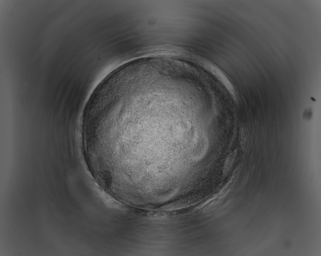 X0000089941099200707131448