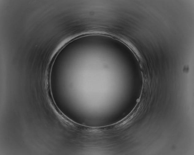 X0000089941101200707131448