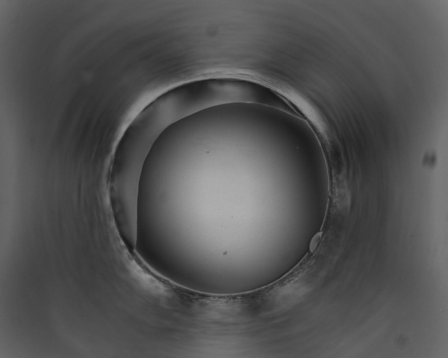 X0000089941102200707131448