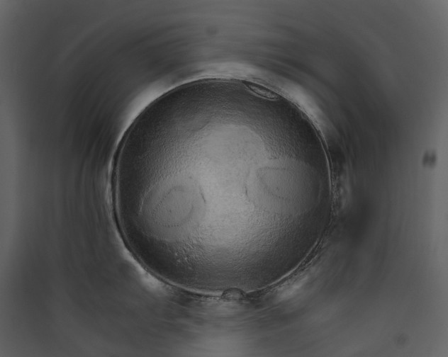 X0000089941103200707131448