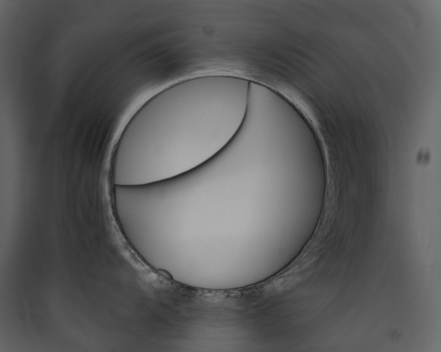 X0000089941104200707131448