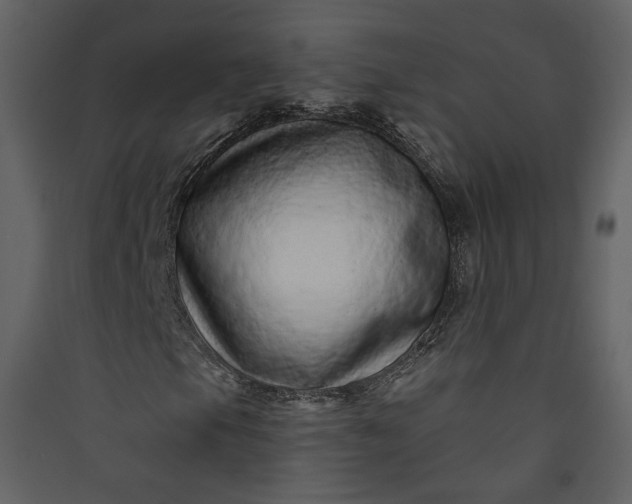 X0000089941105200707131447