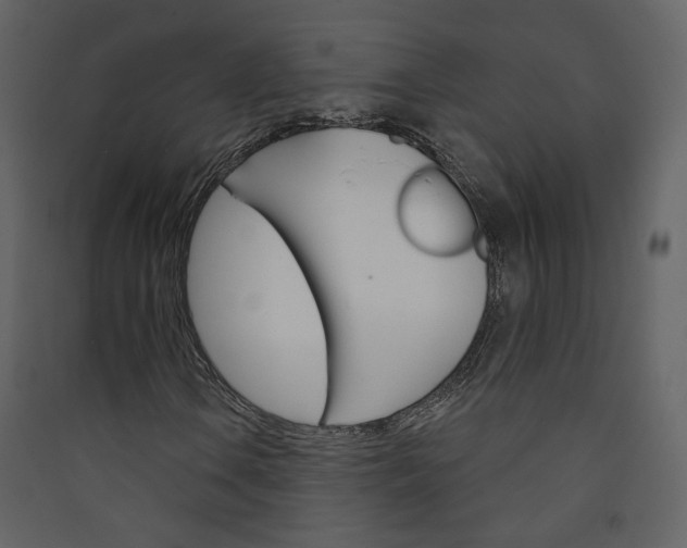 X0000089941106200707131447