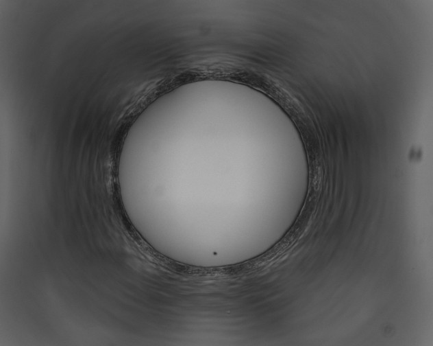 X0000089941108200707131447