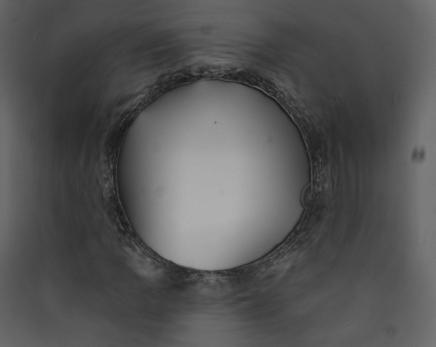 X0000089941109200707131447