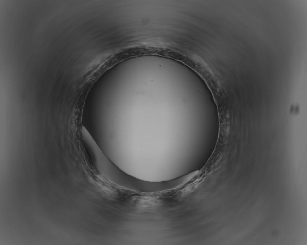 X0000089941110200707131447