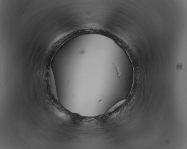 X0000089941112200707131447