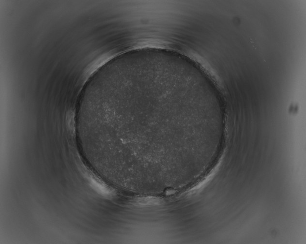 X0000089941113200707131447