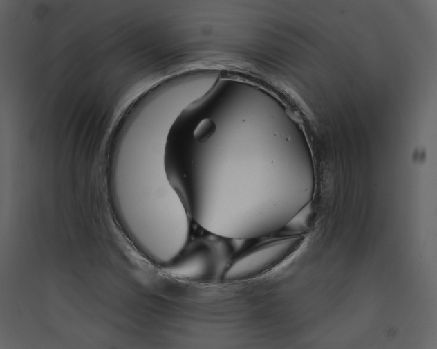 X0000089941114200707131447