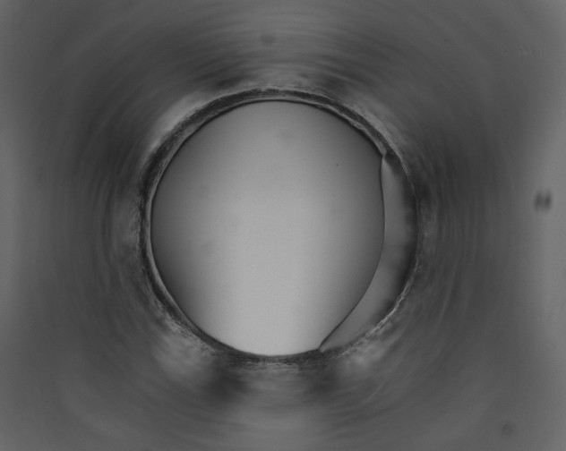 X0000089941115200707131447