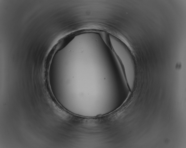 X0000089941116200707131447