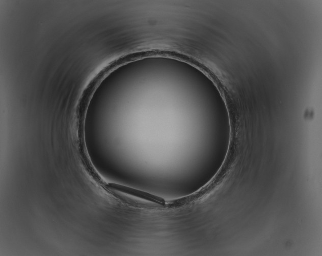 X0000089941118200707131447