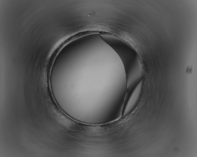 X0000089941120200707131447