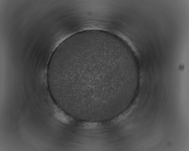 X0000089941121200707131447