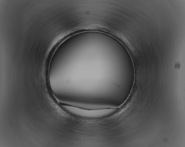 X0000089941122200707131447