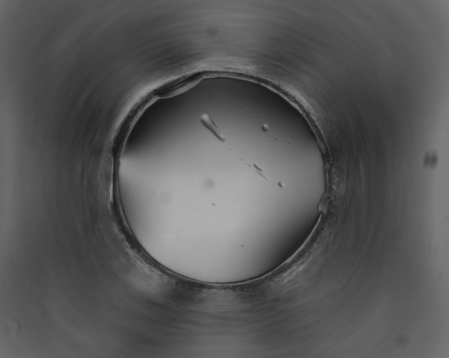 X0000089941123200707131447