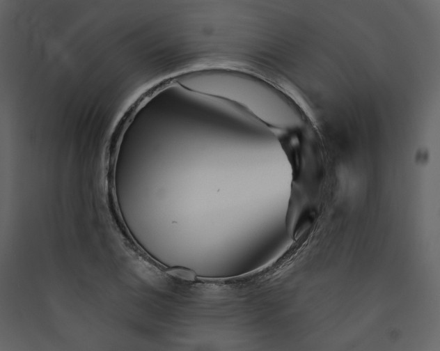 X0000089941124200707131447