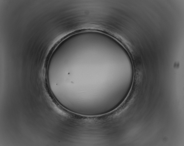 X0000089941125200707131447