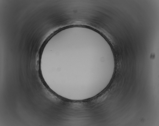 X0000089941126200707131447