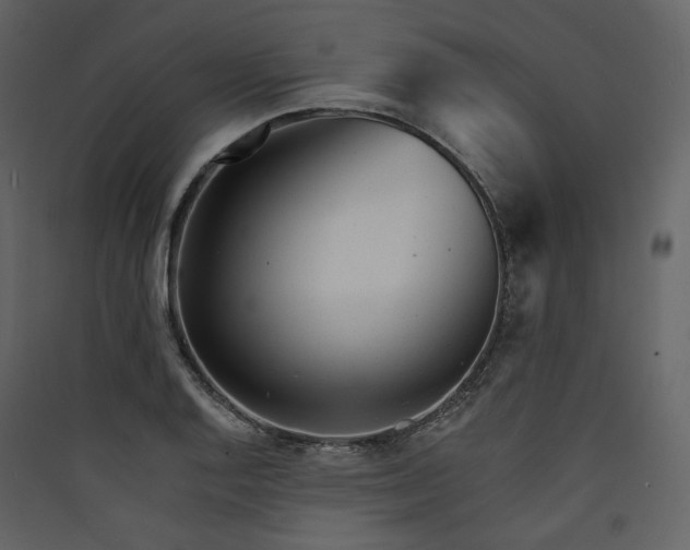 X0000089941128200707131447