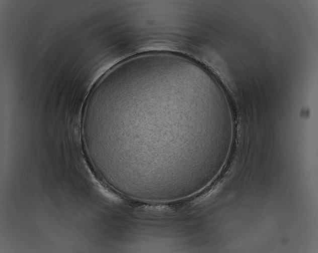 X0000089941129200707131447