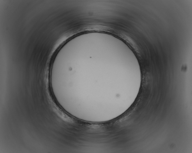 X0000089941130200707131447