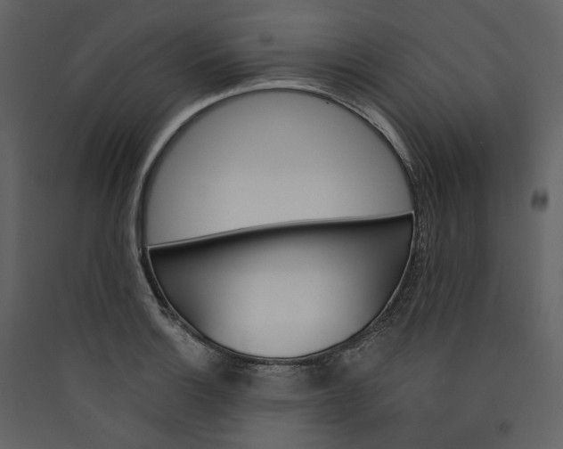 X0000089941132200707131447