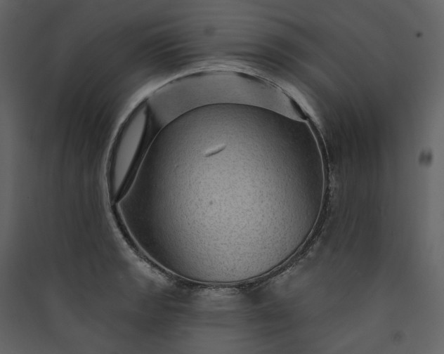 X0000089941133200707131447