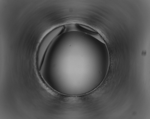 X0000089941134200707131447