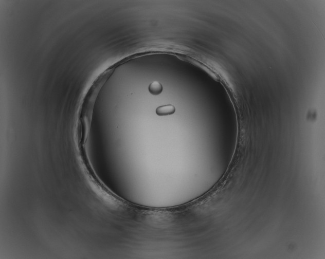 X0000089941136200707131448