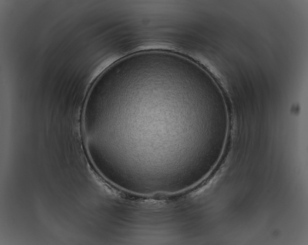 X0000089941137200707131448