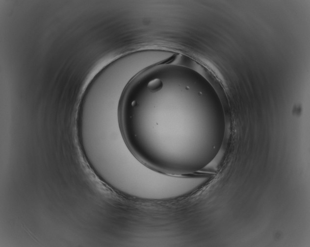 X0000089941138200707131448