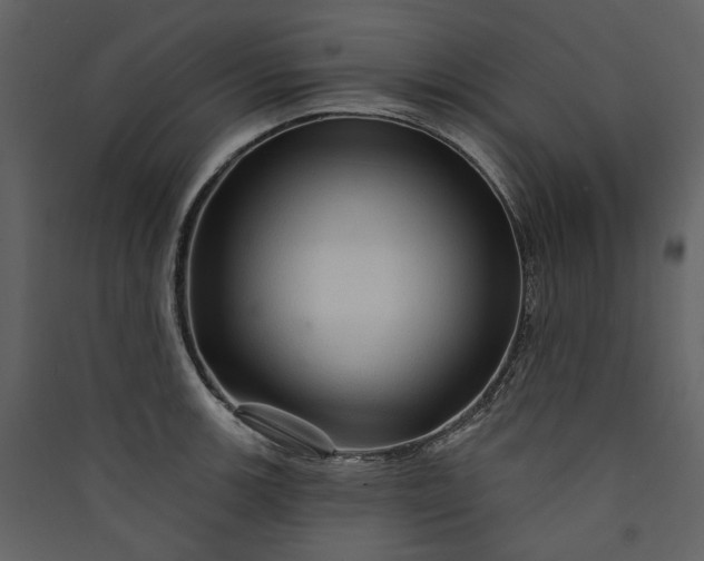 X0000089941139200707131448