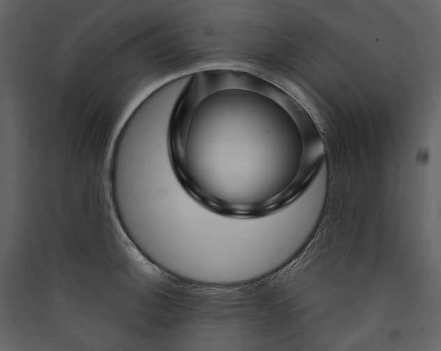 X0000089941140200707131448