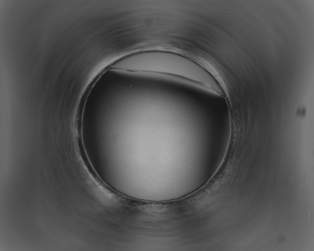 X0000089941141200707131448