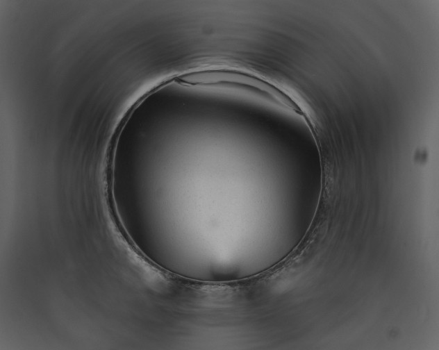 X0000089941142200707131448