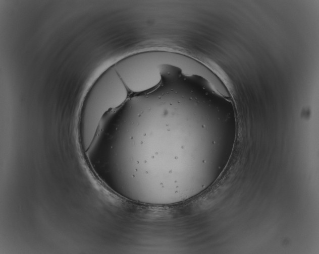 X0000089941144200707131448