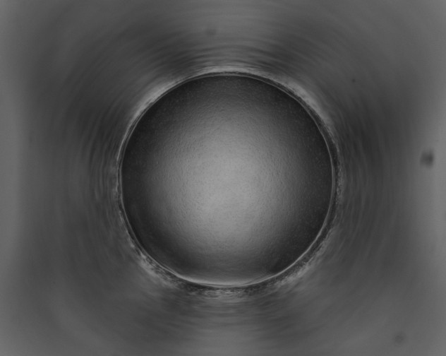 X0000089941145200707131448