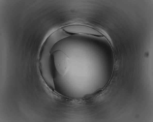 X0000089941146200707131448