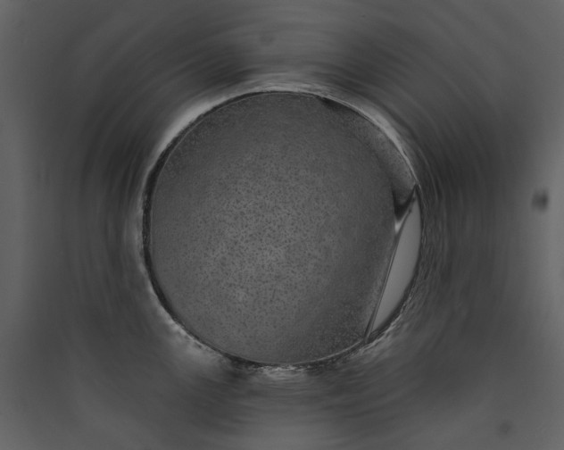 X0000089941147200707131448