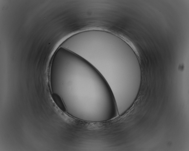 X0000089941148200707131448