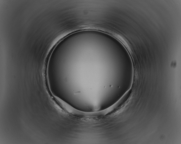 X0000089941149200707131448