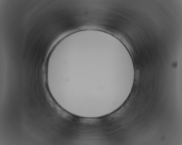 X0000089941150200707131448