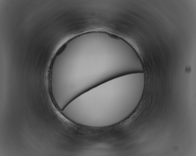 X0000089941151200707131448