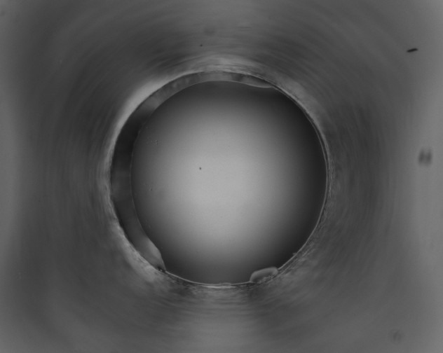 X0000089941152200707131448