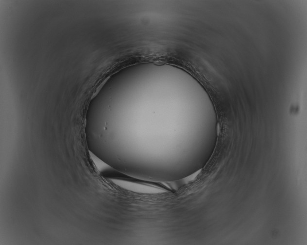 X0000089941153200707131447