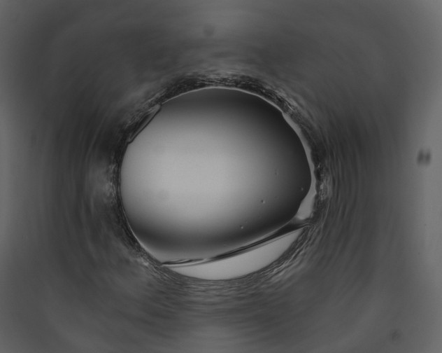 X0000089941156200707131447