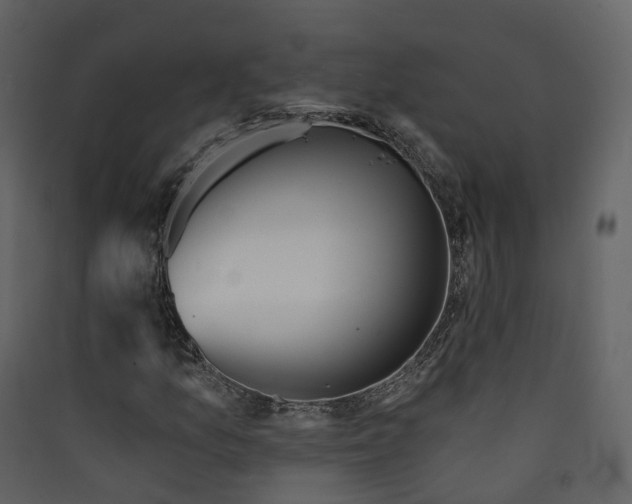 X0000089941157200707131447