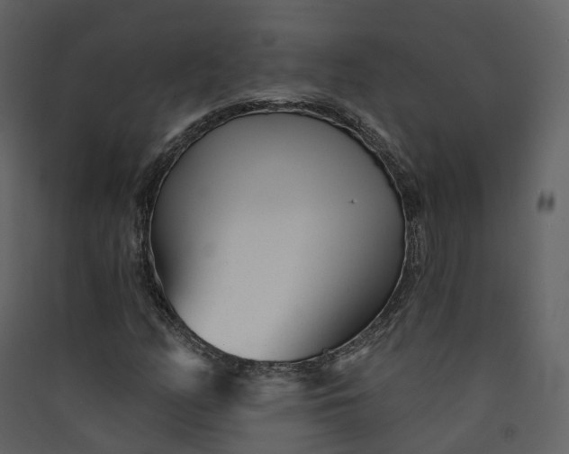 X0000089941158200707131447