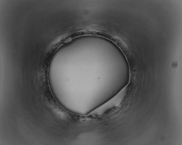 X0000089941159200707131447